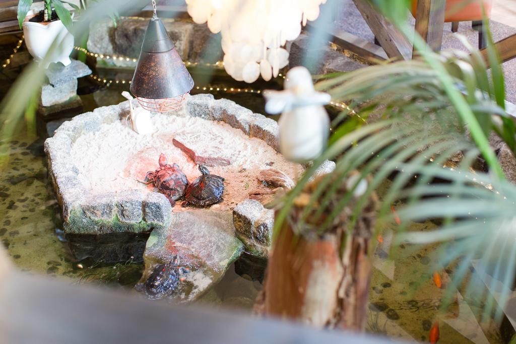 Hotel Garni Am Deich Zingst Bagian luar foto