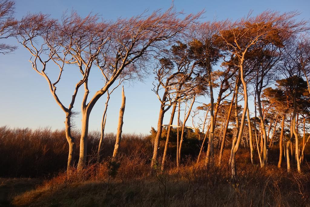 Hotel Garni Am Deich Zingst Bagian luar foto