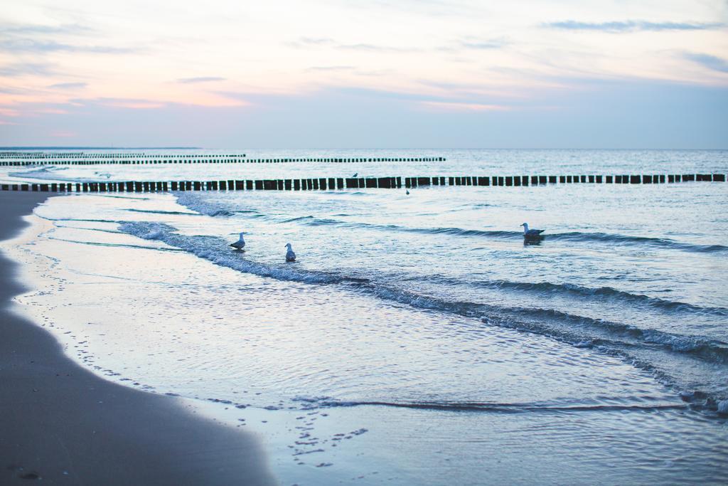 Hotel Garni Am Deich Zingst Bagian luar foto